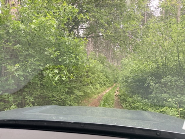 View through the windshield of a narrow two-track forest trail